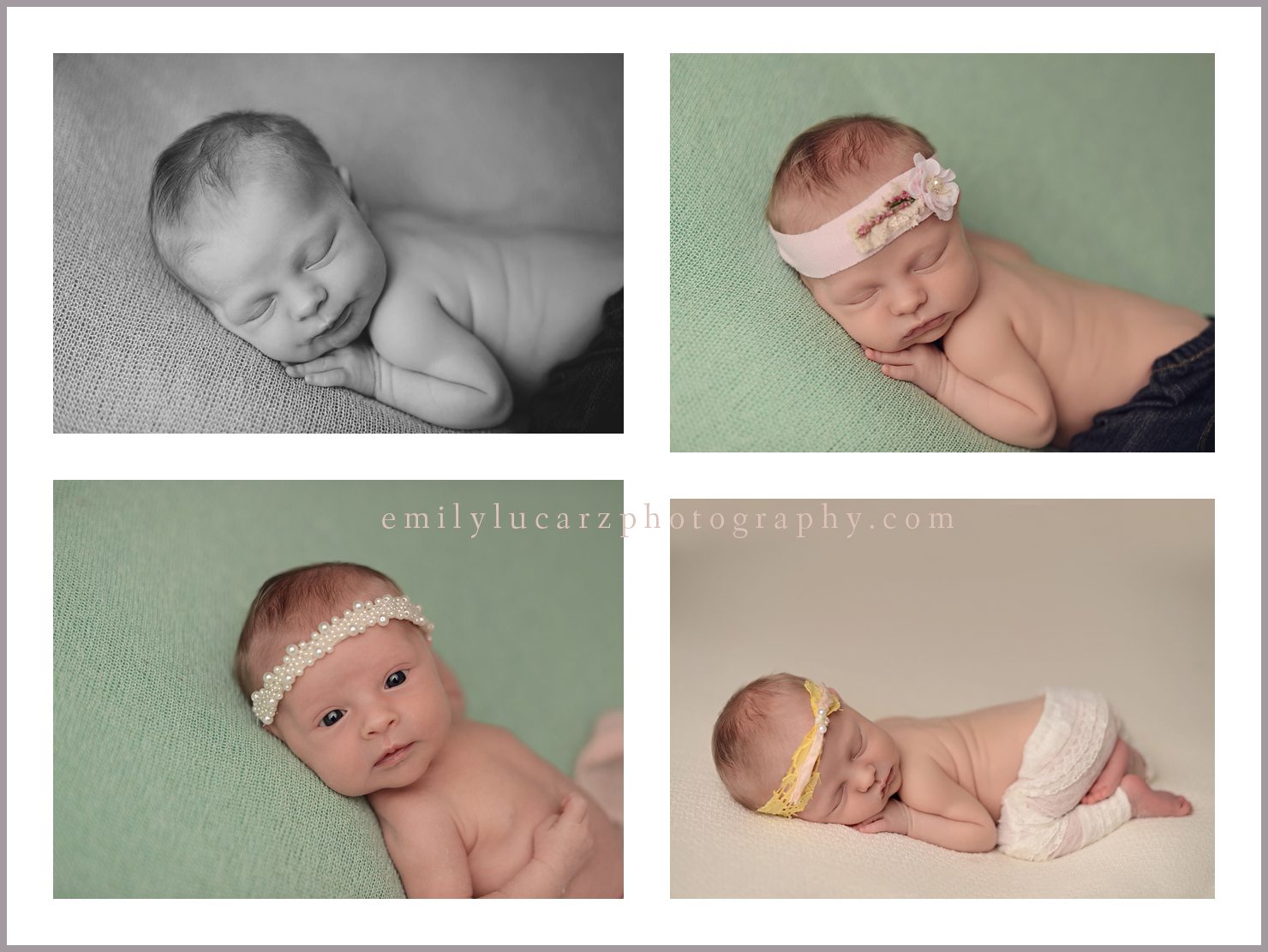 St. Louis newborn photography
