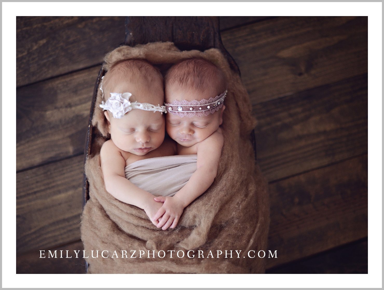 St. Louis newborn twin photography