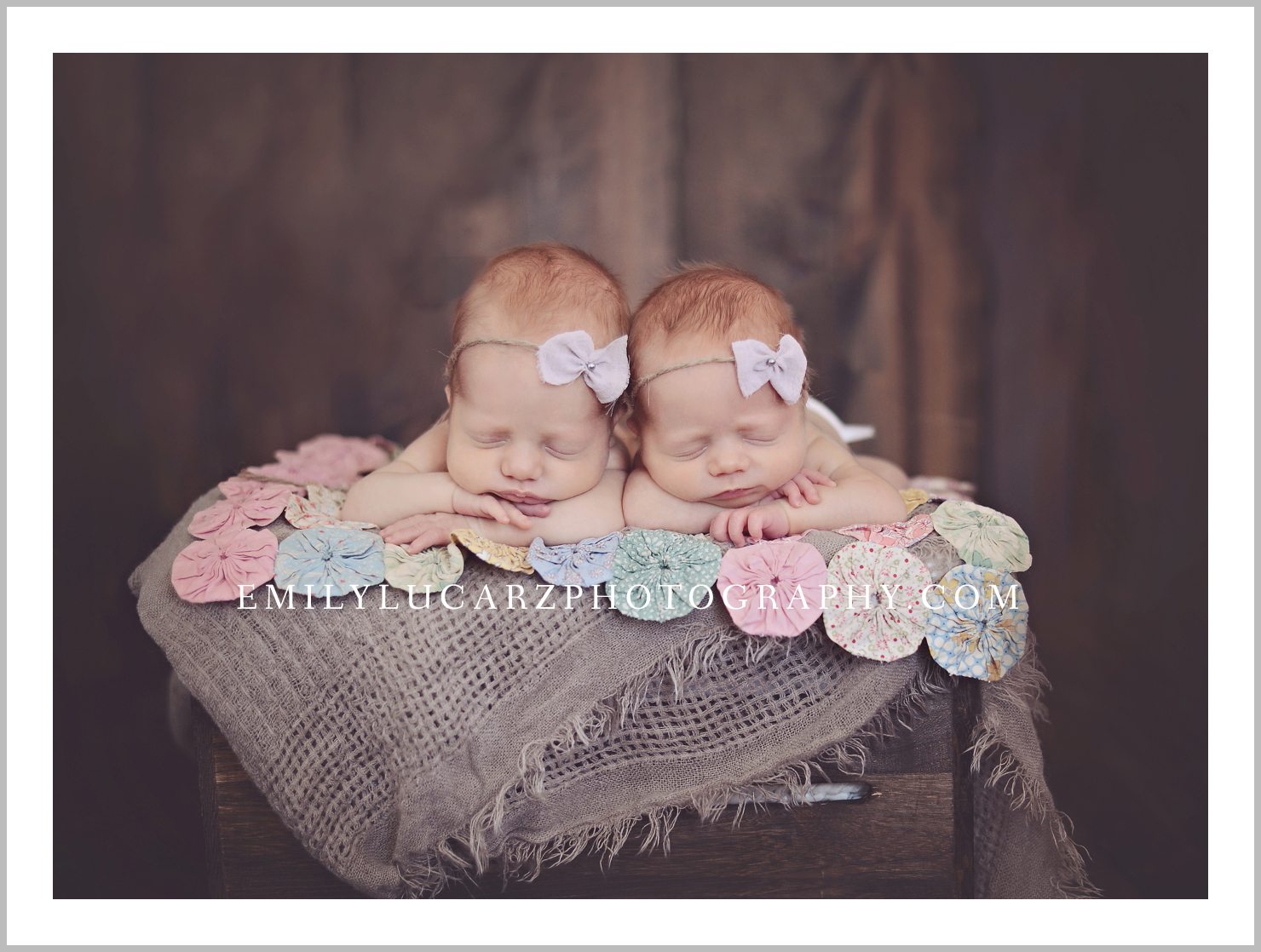 St. Louis newborn twin photography