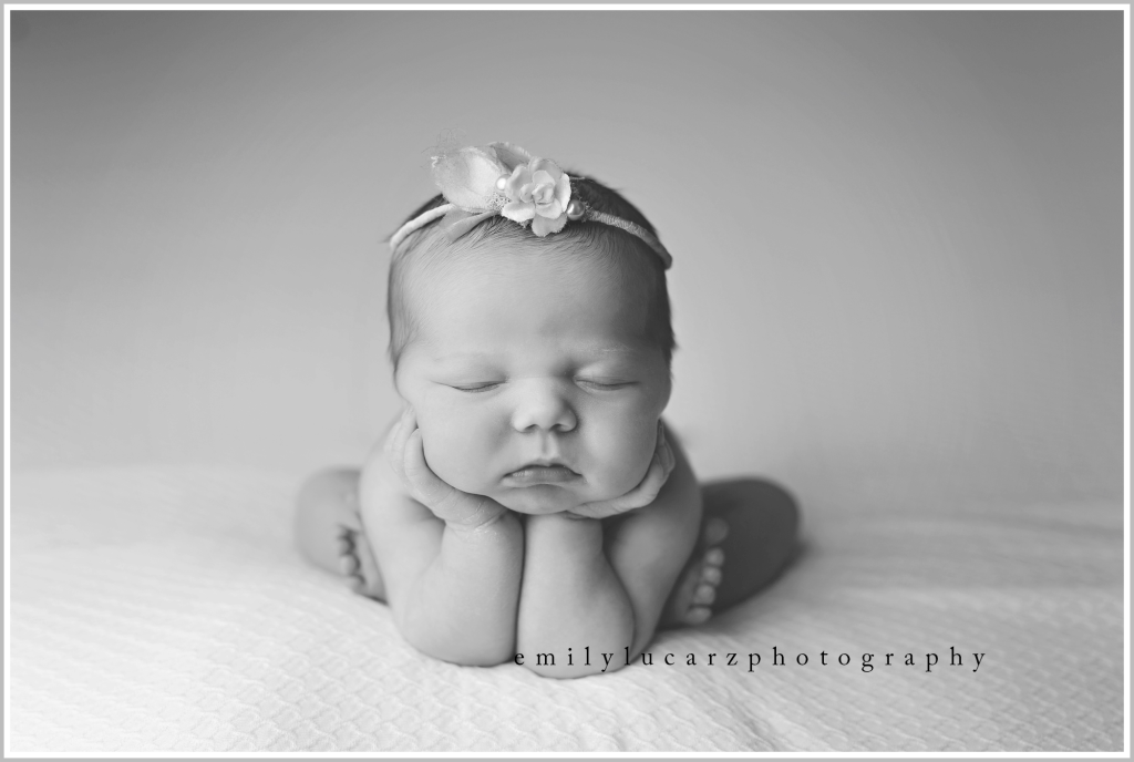 newborn photography st louis