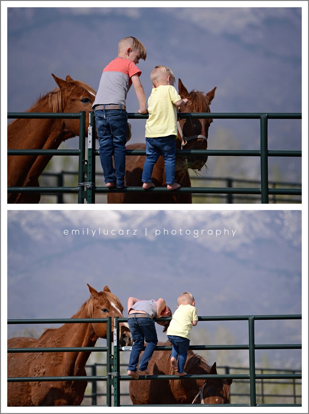 kids playing with horse