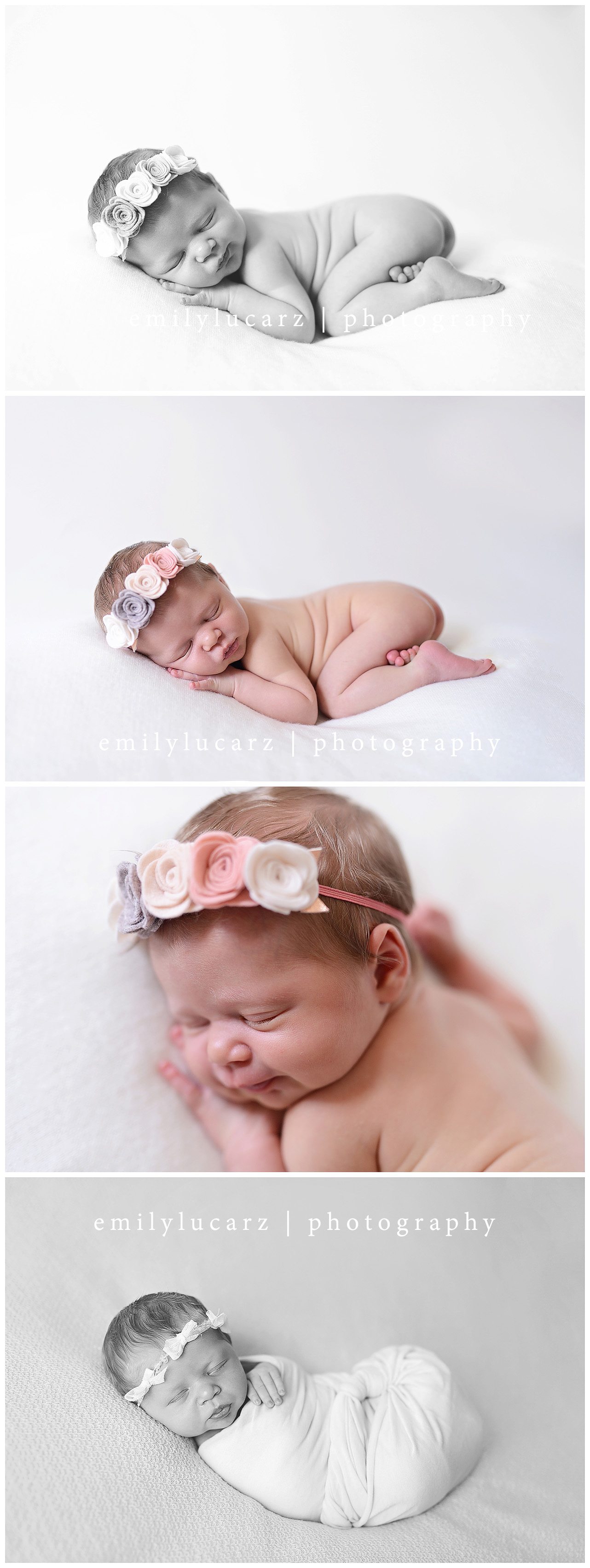 newborn pose st louis photography
