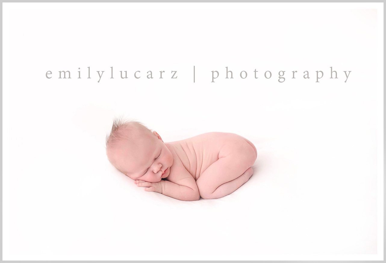 best st louis newborn photographer
